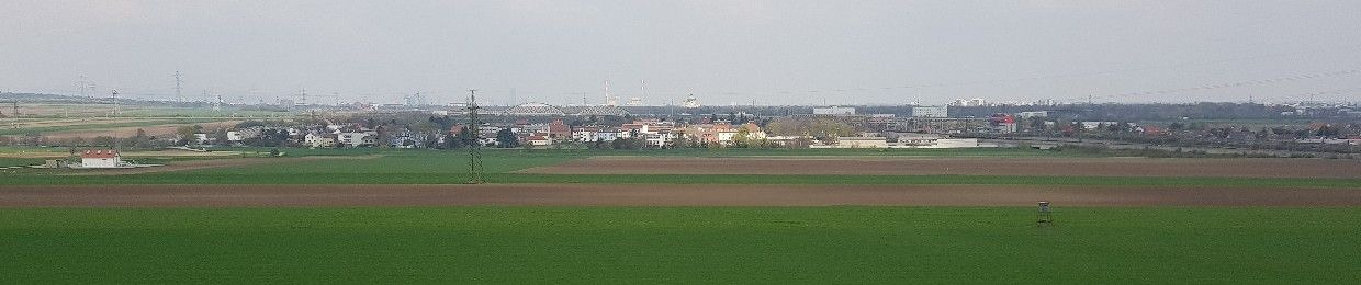 René Invexis