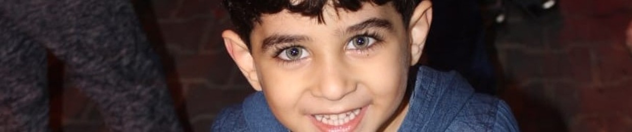 Ahmed M. Abd Alaal