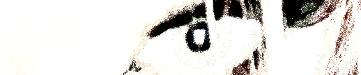 piixie