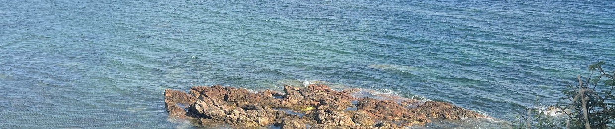 tasha williamson 420