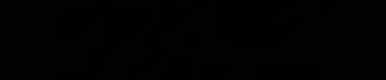 lsilveirx