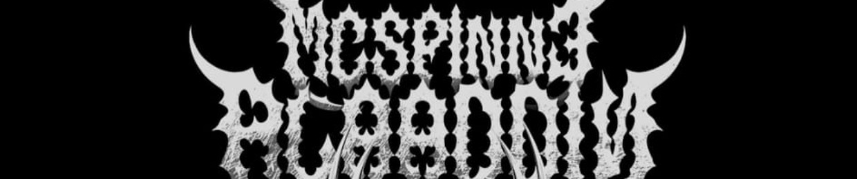 Mc Spinne