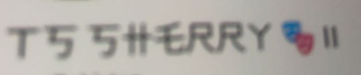 丨ㄒ丂 丂卄乇尺尺ㄚ 🎭