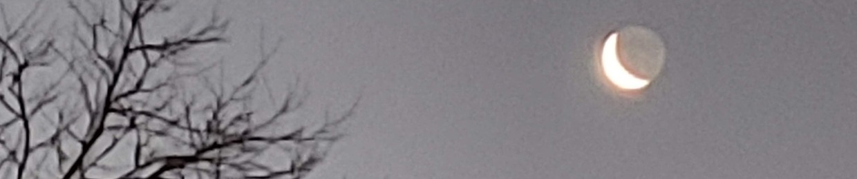 XII: The Sample God (Lil Meat)