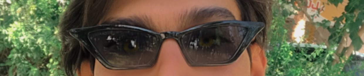 mehdi rostami