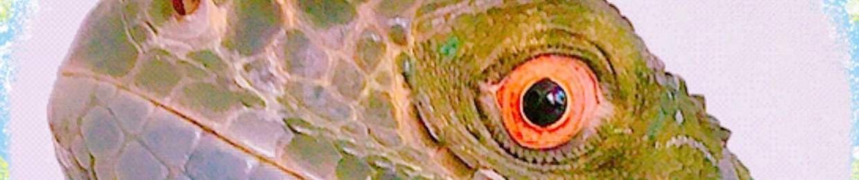 Larasaurus_