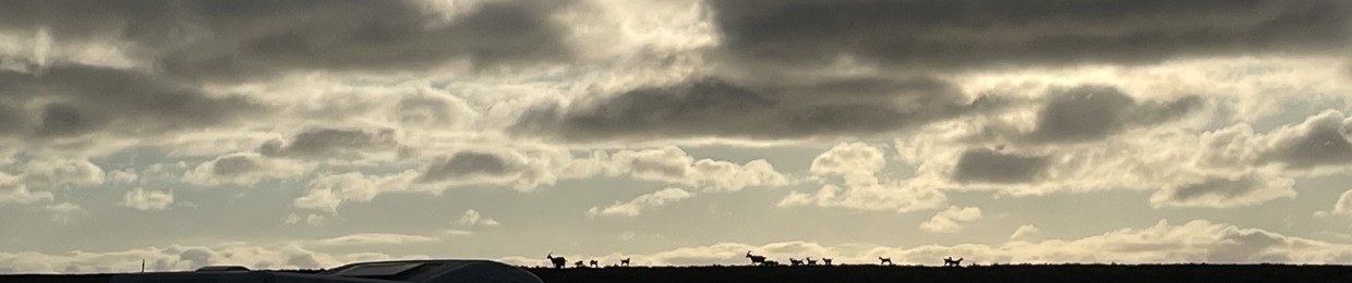 Dr.Malte (DJ Lingelmann)