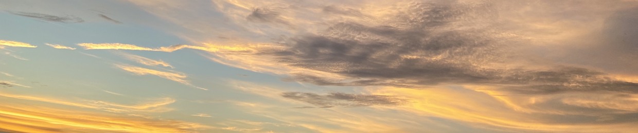 橘はやて