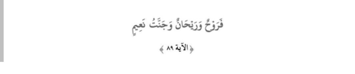 هدىٰ حسام الدين