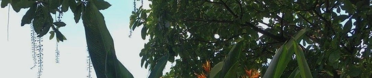 nglinh.