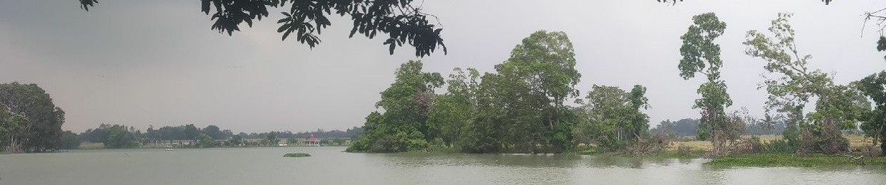 prengki