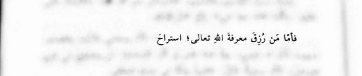 Mohamed Elgammal