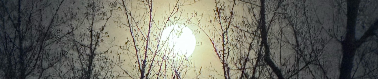 UNIDENTIFED_V4MP