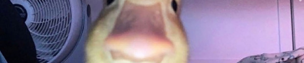 SCXPTXR