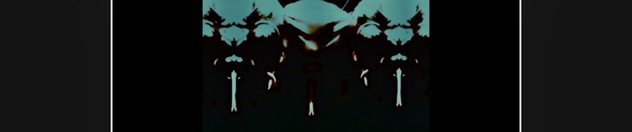 moth