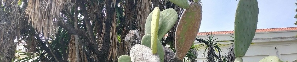 Jeremías (Jermaine)
