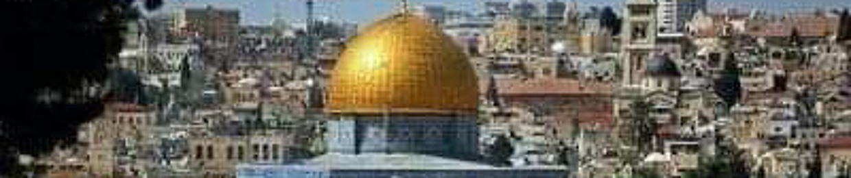 صهيب اسامة
