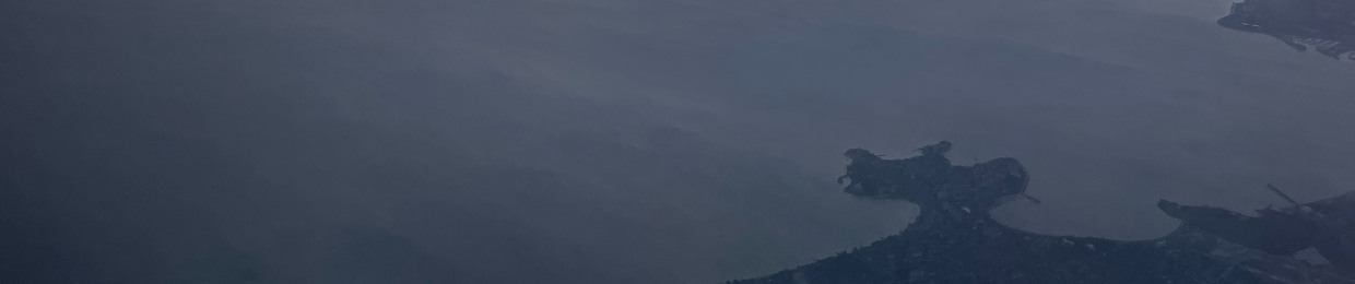 SeagullPenguin