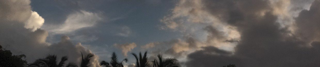 jei_zie7
