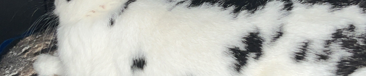 kywy