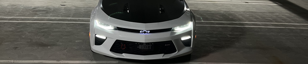 2ss.atom