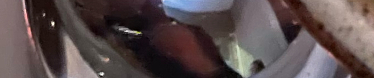 User 036966