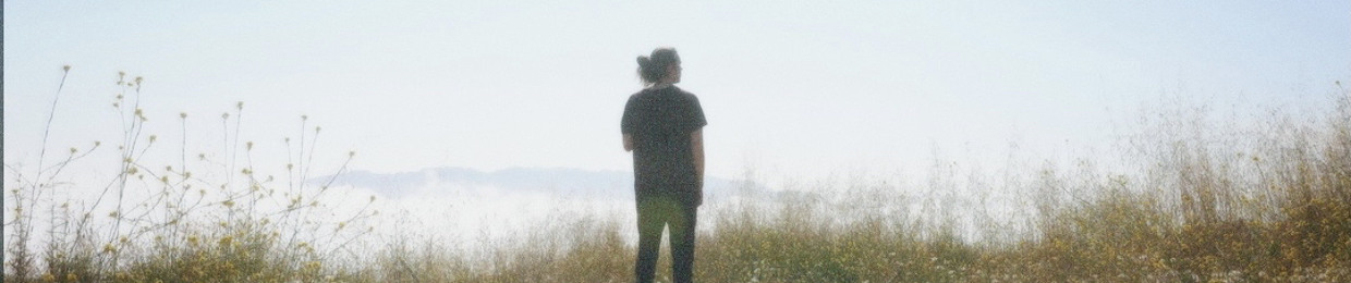 Sion Louks