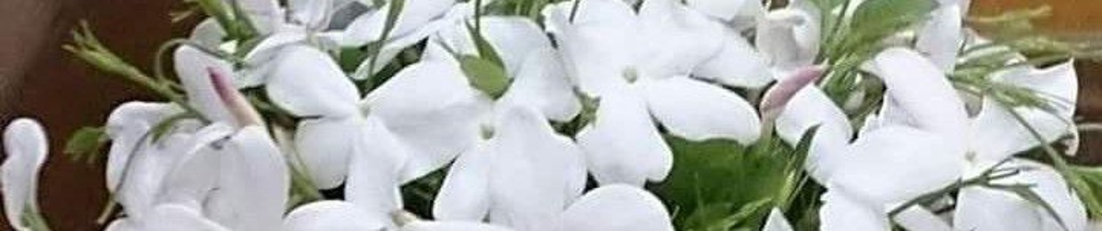 زهور الياسمين