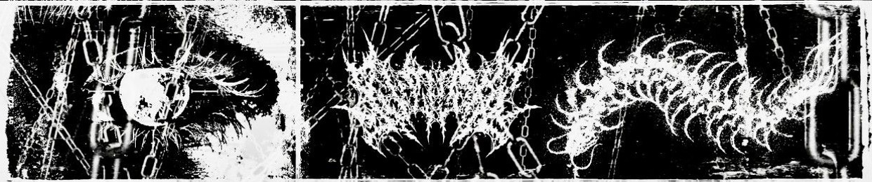 𖤓𝔓ℌ𝔈𝔒𝔑ℑ𝔛𖤓(@PH3ONIX4555)