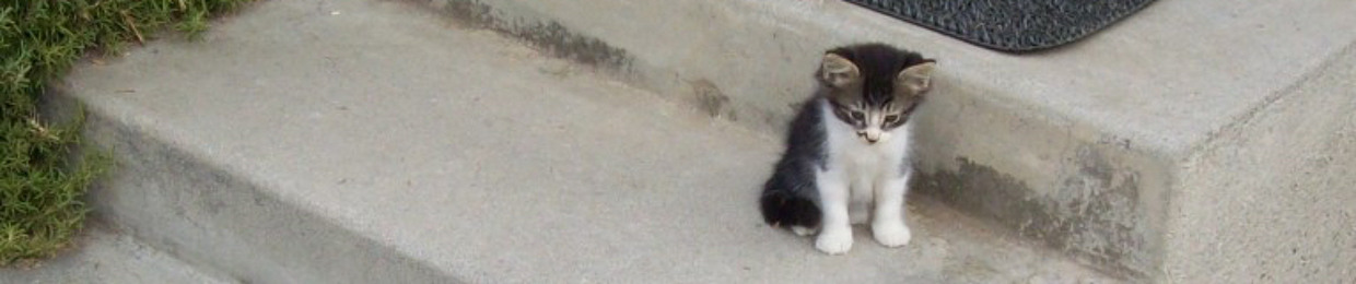 meowpie