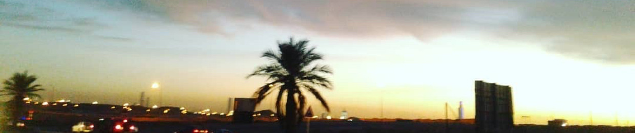 Elsayed Mohamed Gaber