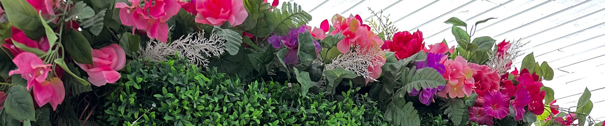 Annysabelle Fleurantin