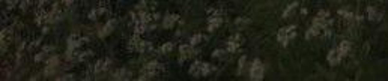 🌱☆ANAKI☆•🌱