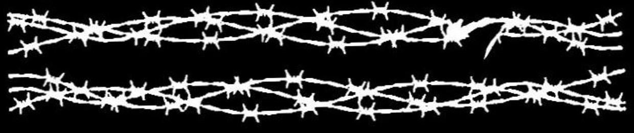 ΚΕΝ∅ 1116