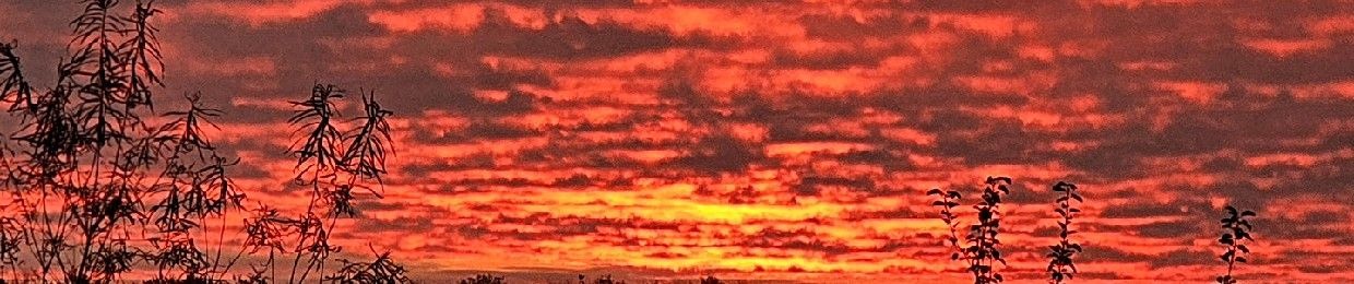 Divine Moments of truth