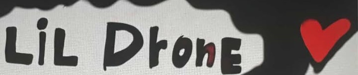 LIL DRONE