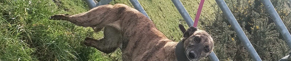 Sean Clare🤠💥🤑