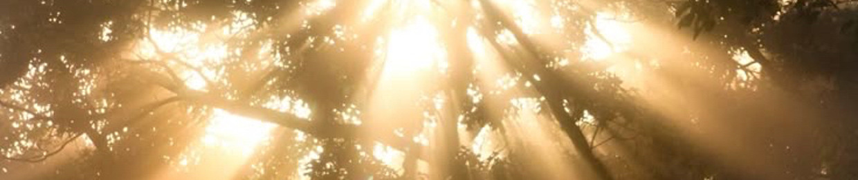 ᷂جَنَّة