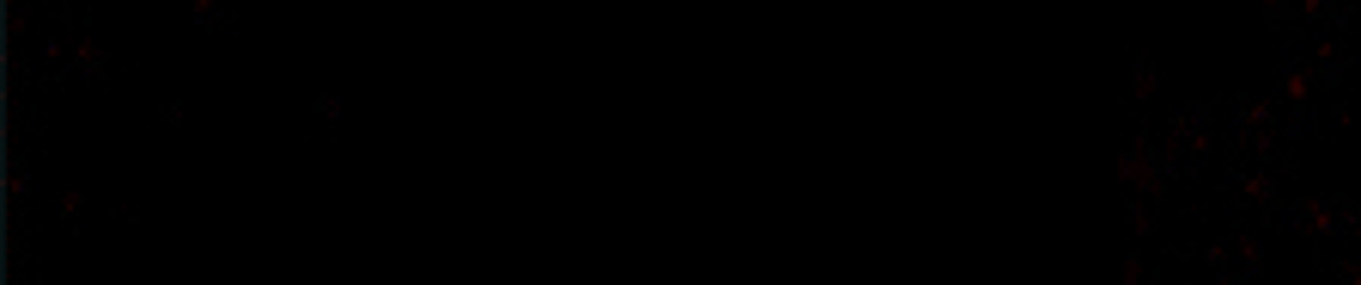 ‎