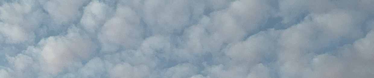 رحال 4
