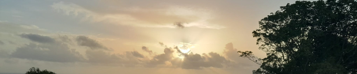 Te-Shell Barbie Sutton