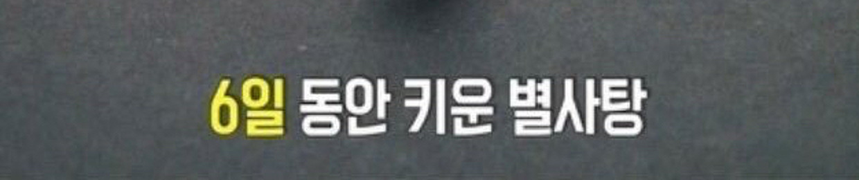 진
