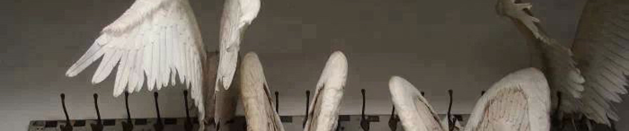 px2
