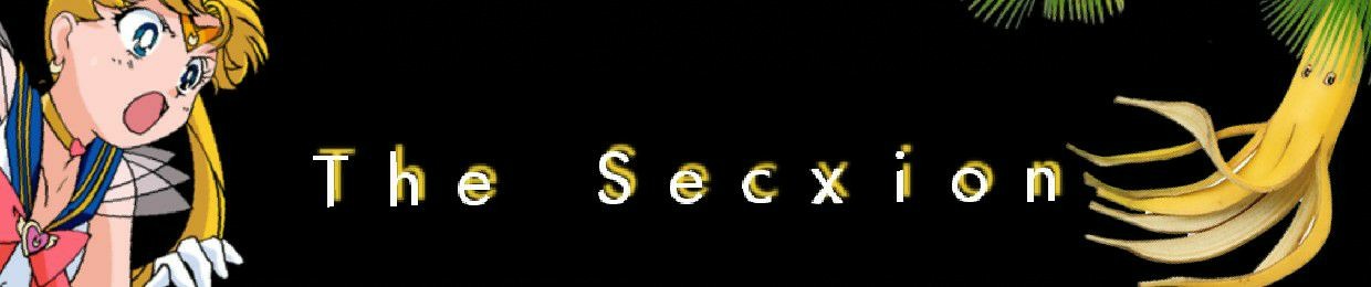 The SecXioN