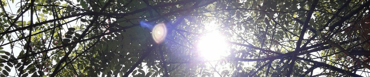‫نورهان