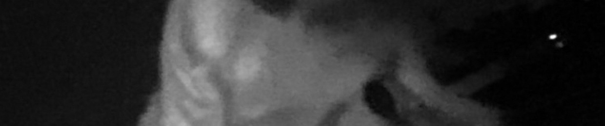 Ahmed Daniyal Hussain