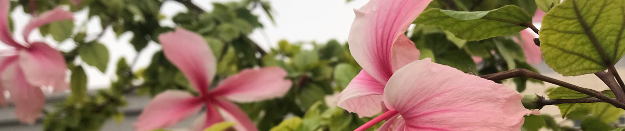 شجرة معوجّه