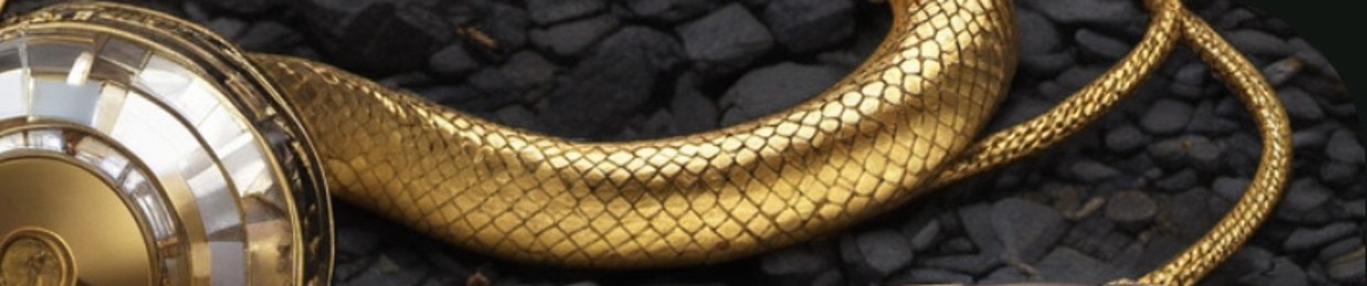 kobramulata 🏳️‍⚧️⭐️