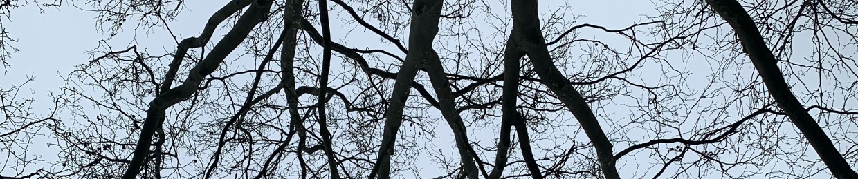 Nguyễn Võ Anh Tài