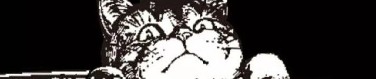 707